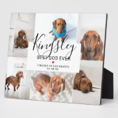 Chic Best Dog Ever | Foto Collage Pet Loss Fotoplaat (Zijkant)