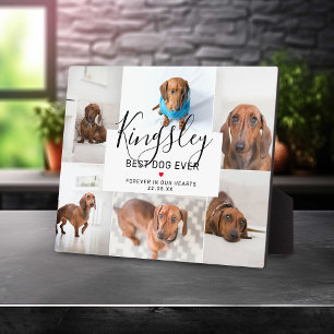 Chic Best Dog Ever   Foto Collage Pet Loss Fotoplaat