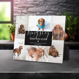 Chic Beste Hond Ooit   Fotocollage Huisdier Verlie Fotoplaat