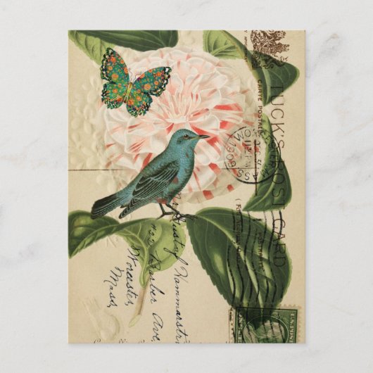 Chic Bird camellia franse botanische kunst Briefkaart (Voorkant)