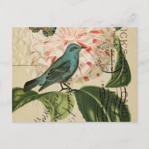 Chic  Bird camellia franse botanische kunst Briefkaart