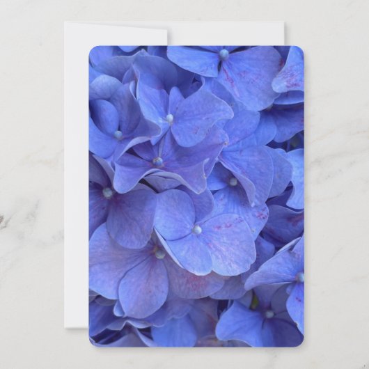 Chic blauw elegante bloemen hortensia's bruiloft kaart (Achterkant)