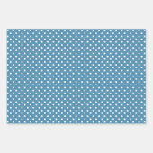 Chic Blauwgroen Light Blue White Polka Dots Patter Inpakpapier Vel (Voorkant 2)