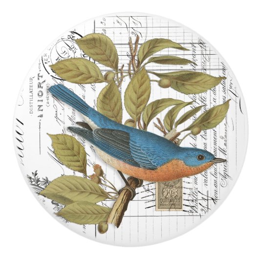 Chic Bluebird on Branch French Script Knob Keramische Knop (Voorkant)