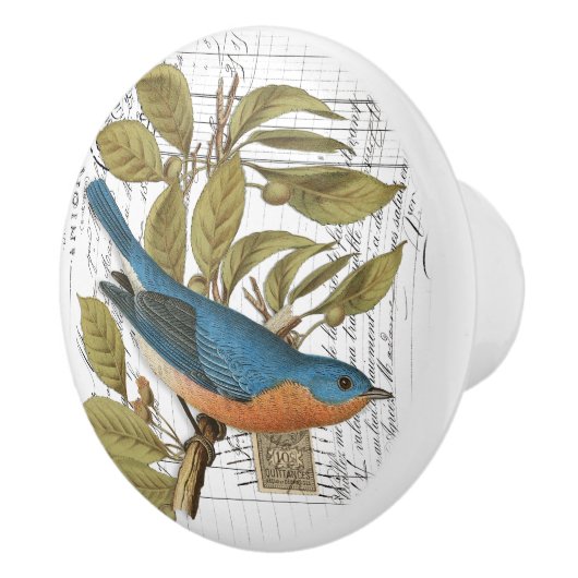 Chic Bluebird on Branch French Script Knob Keramische Knop (Rechts)