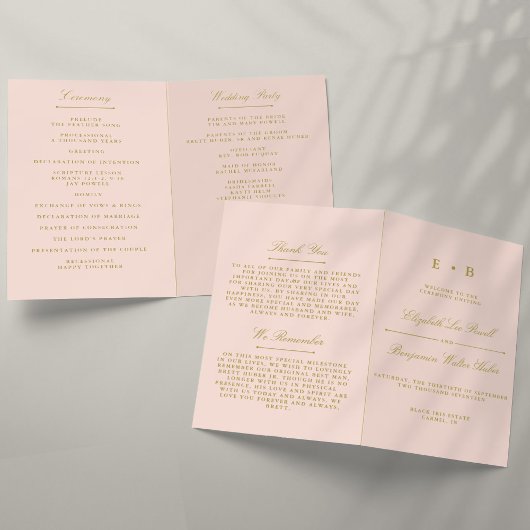 Chic Blush Pink & Gold Wedding Program Sjabloon