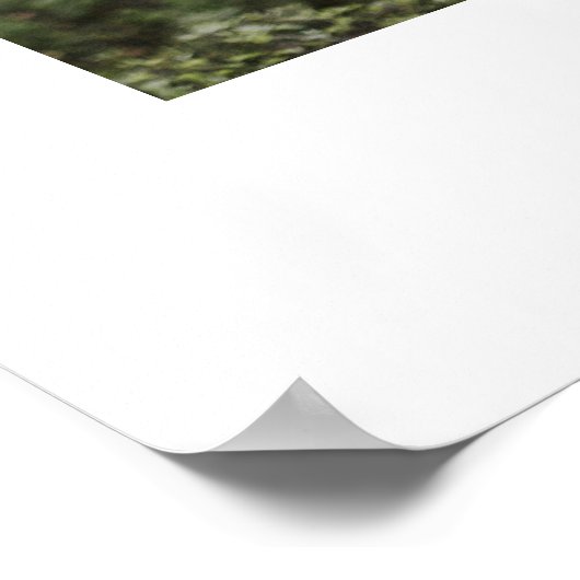 Chic Calligraphy Script Foto Trouw Welkom Bord Poster (Hoek)