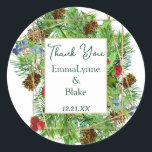 Chic Christmas Greenery Dank u bruiloft Sticker<br><div class="desc">Ontdek ons prachtige waterverf kerstgroen collectie, met weelderige en weelderige elementen van het vakantieseizoen. Het unieke groene assortiment beschikt over levendige groene dennentakjes, rijke bruine dennenappels, delicate blauwe cederbessen en feestelijke rode hulstboombessen, allemaal tegen een witte achtergrond. Een zeldzame vleugje gouden gebladerte kijkt elegant door, het toevoegen van een vleugje...</div>