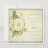 Chic  Daisies Surprise Party Kaart (Achterkant)