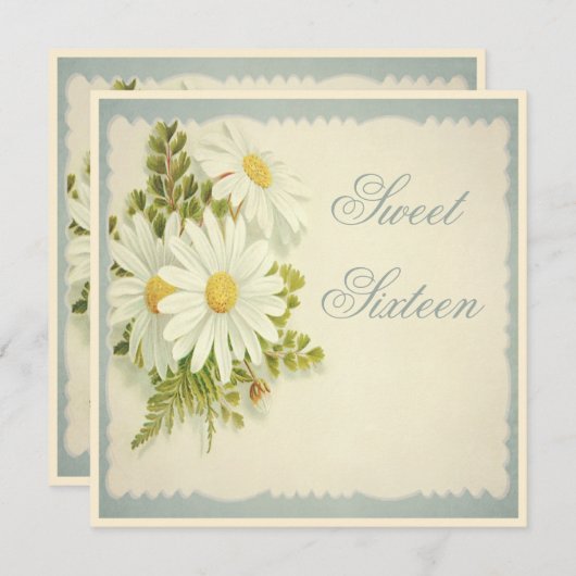 Chic  Daisies Sweet 16 Kaart (Voorkant / Achterkant)