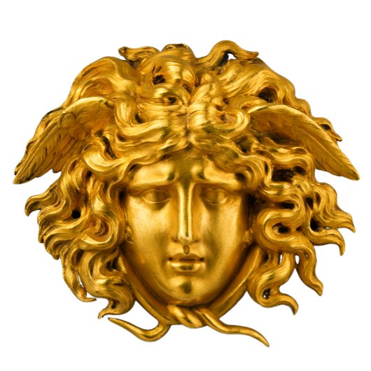 Chic Elegant Gold French Medusa Haute Couture T-shirt