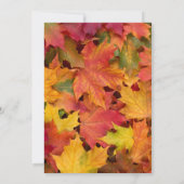 Chic Fall Leaves Chalkboard Thanksgiving Dinner Kaart (Achterkant)