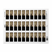 Chic French Bird Modern Paris Eiffeltoren Etiket (Full Sheet)