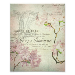 Chic French Script Shabby Flowers Corset Foto Afdruk