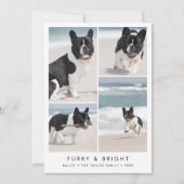 Chic Furry en Bright New Puppy Photo met Kerstmis Feestdagenkaart (Voorkant)