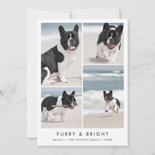 Chic Furry en Bright New Puppy Photo met Kerstmis Feestdagenkaart (Voorkant)