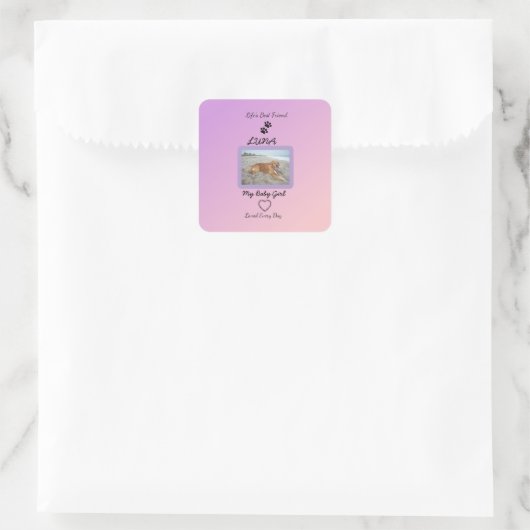 Chic Gradient Pawprint Keepsake Vierkante Sticker (Tas)