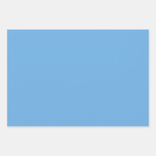 Chic Grass Groen en Blauwe Tint Wrapping Paper (Voorkant 3)