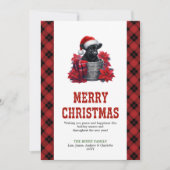 Chic highland cow card pine branches and holly feestdagenkaart (Voorkant)