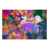 Chic Japans blad Foto Afdruk (Voorkant)