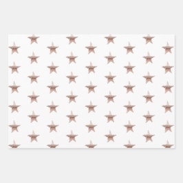 Chic Kerstmetallisch roos gouden ster wit Inpakpapier Vel