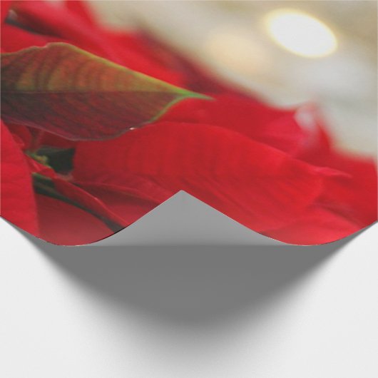 Chic Kerstmis Poinsettia Holiday Cadeaupapier (Hoek)