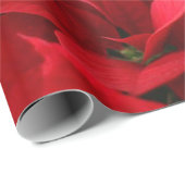 Chic Kerstmis Poinsettia Holiday Cadeaupapier (Rol Hoek)