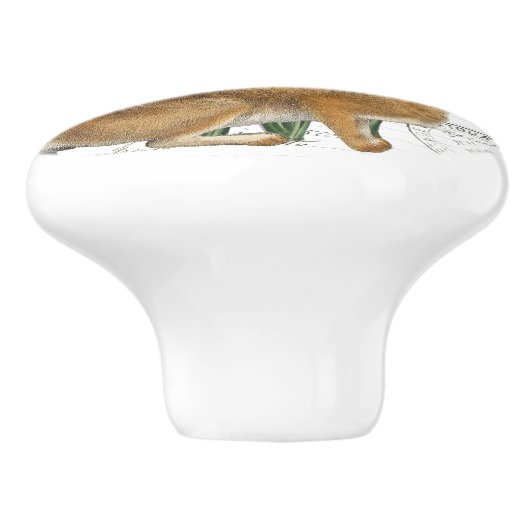 Chic  konijn & Muscari French Script Knob Keramische Knop (Zijkant)