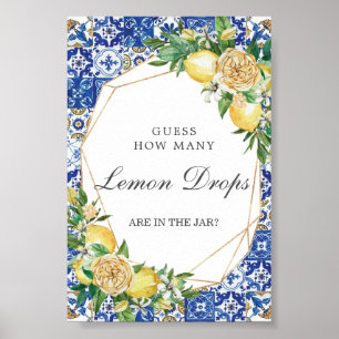 Chic Lemon Floral raad leemon druppels in jar Game Poster