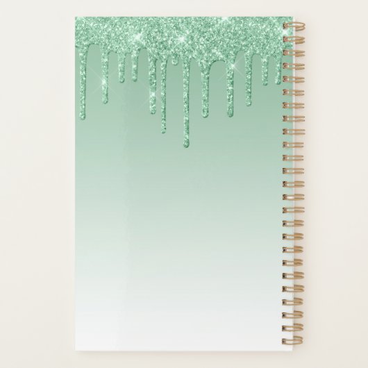 Chic Luxe Glitter Drips Gepersonaliseerd Groen 202 Planner (Achterkant)