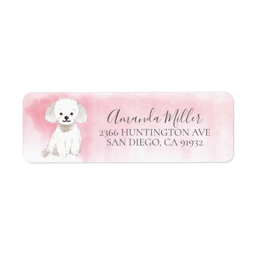 Chic Maltese Return Address Label (Voorkant)