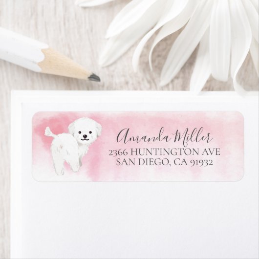 Chic Maltese Return Address Label (Insitu)
