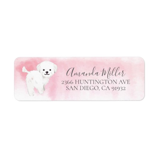 Chic Maltese Return Address Label (Voorkant)