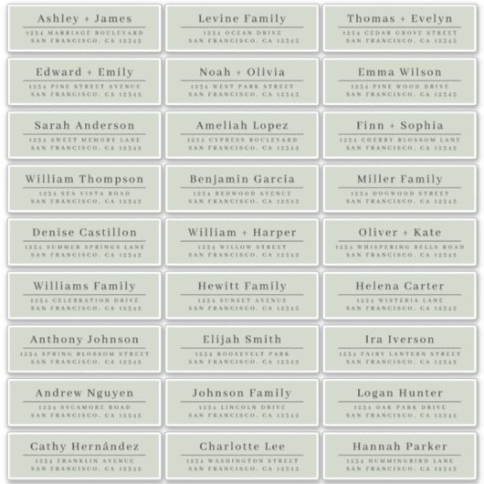 Chic Minimal Green Wedding Guest Adresetiketten Sticker (Voorkant)
