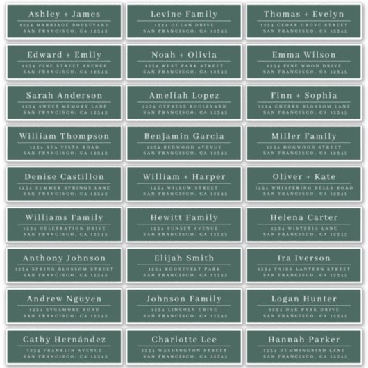 Chic Minimal Green Wedding Guest Adresetiketten Sticker (Voorkant)