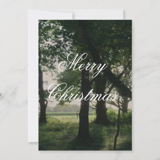 Chic Minimalist Christmas Card Bedankkaart (Achterkant)