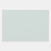 Chic Mint Green White Hearts Bows Vrijgezellenfees Inpakpapier Vel (Voorkant 2)