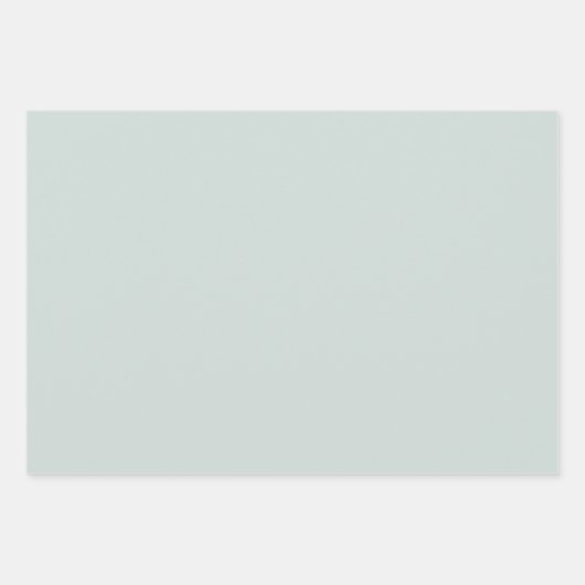 Chic Mint Green White Hearts Bows Vrijgezellenfees Inpakpapier Vel (Voorkant 2)