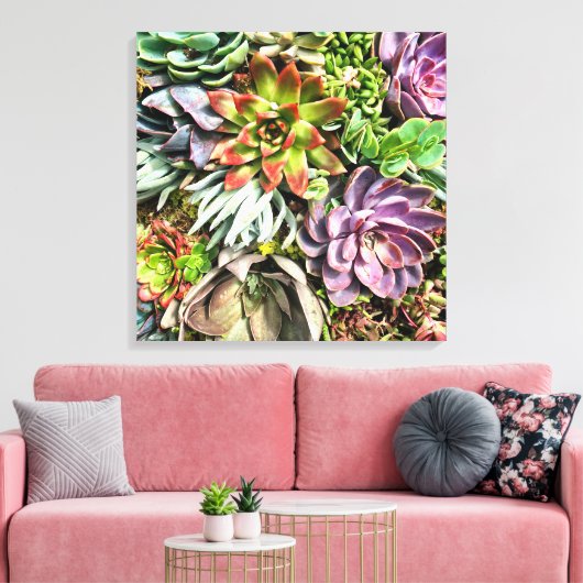 Chic modern kleurrijk Succulent fotopatroon Canvas Afdruk (Insitu (Woonkamer))