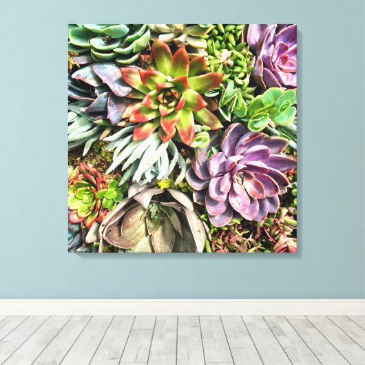 Chic modern kleurrijk Succulent fotopatroon Canvas Afdruk (Insitu (Houten vloer))