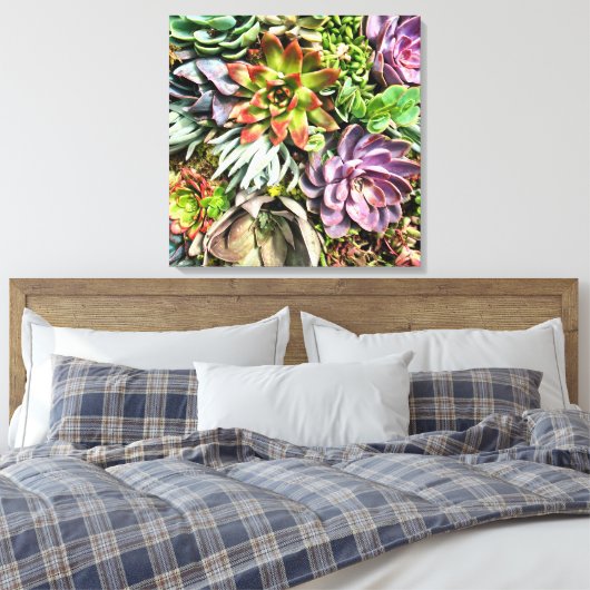 Chic modern kleurrijk Succulent fotopatroon Canvas Afdruk (Insitu (Slaapkamer))