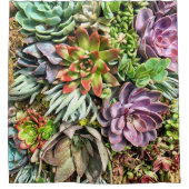 Chic modern kleurrijk Succulent fotopatroon Douchegordijn (Voorkant)