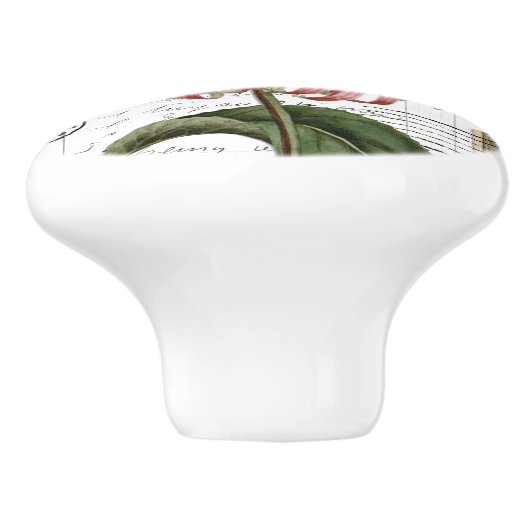 Chic  Monarch Butterfly Flower French Knob Keramische Knop (Zijkant)