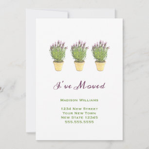 Chic Moving Mededelingen   Ik heb Lavender verplaa Aankondiging