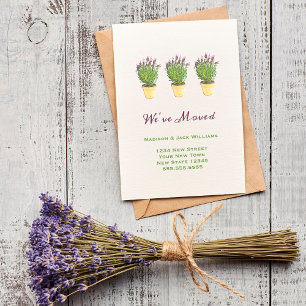 Chic Moving Mededelingen We hebben Lavender verp Aankondiging