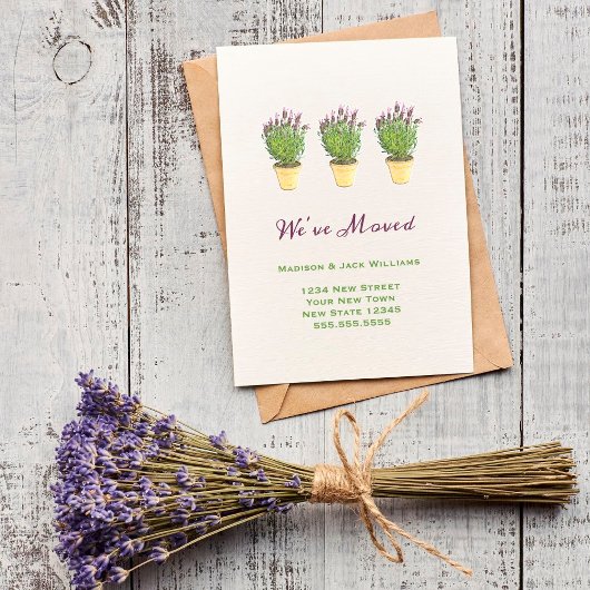 Chic Moving Mededelingen | We hebben Lavender verp Aankondiging