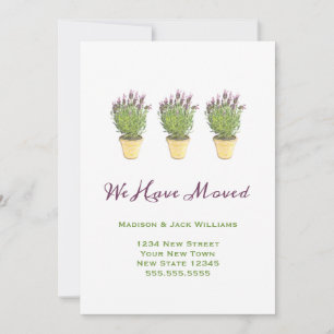Chic Moving Mededelingen We hebben Lavender verp Aankondiging
