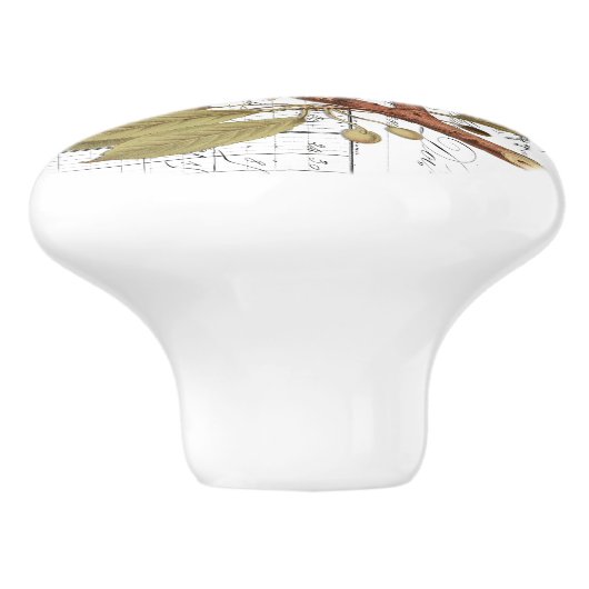 Chic  Nest & Egg French Script Knob Keramische Knop (Zijkant)