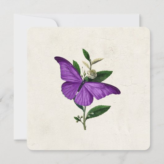 Chic  Paarse Butterflies Wedding Uitnodiging (Achterkant)