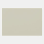 Chic Pastel Mid Century Patroon Inpakpapier Vel (Voorkant 3)